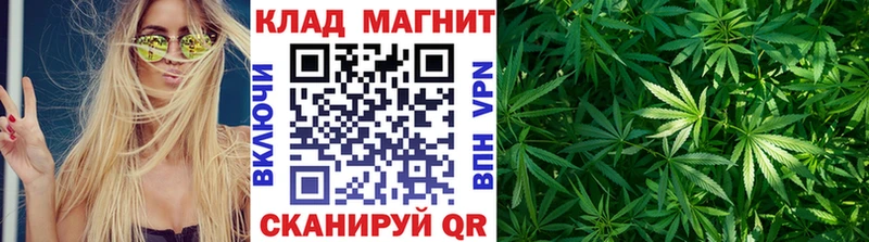 Купить закладку COCAIN  СК  ГАШИШ  Галлюциногенные грибы  МЕФ  Канабис  Заречный