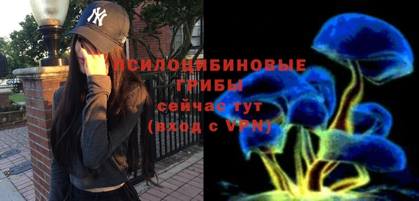 мяу мяу мука Заводоуковск