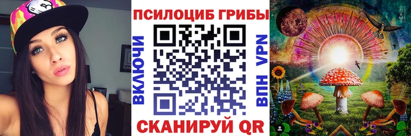 Купить где  Заречный  Псилоцибиновые грибы мухоморы 